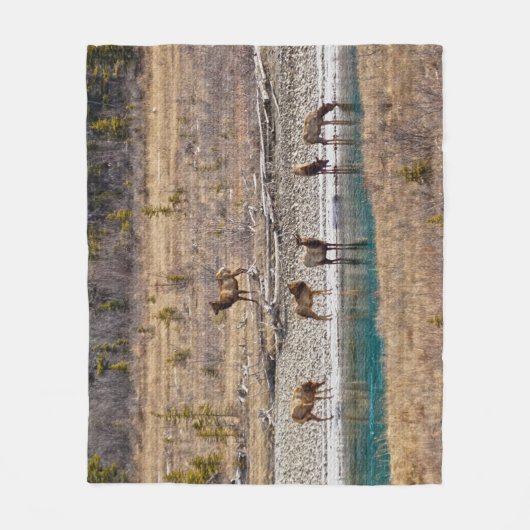 Canadian Rockies Wapiti (Elk) Fleece Deken (Voorkant)