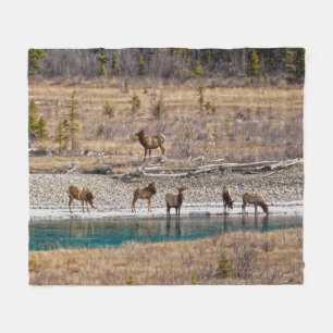 Canadian Rockies Wapiti (Elk) Fleece Deken