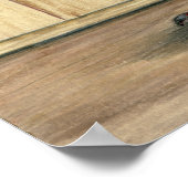 Canadian Show Tippler Pigeon Blue Grizzle Poster (Hoek)