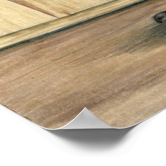 Canadian Show Tippler Pigeon Blue Grizzle Poster (Hoek)