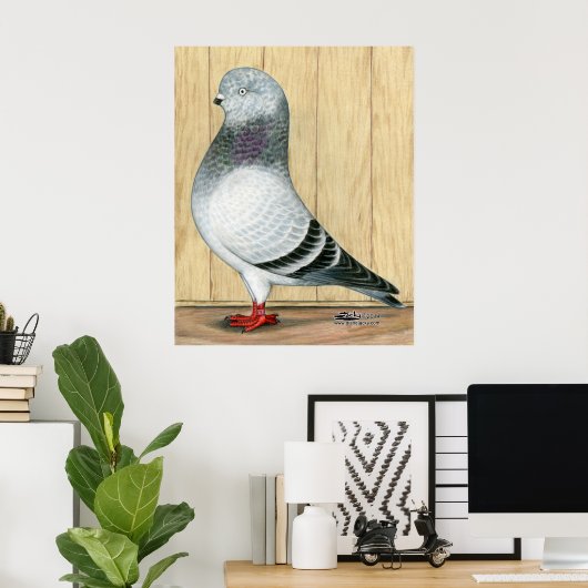Canadian Show Tippler Pigeon Blue Grizzle Poster (Thuiskantoor)