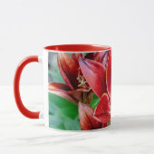 Canadian Stargazer Lily - Welvaart en Dichtheid Mok (Links)