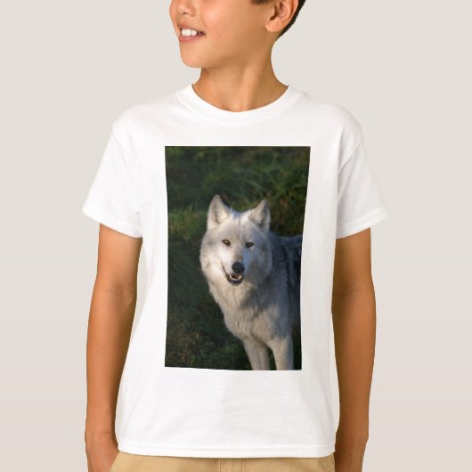 Canadian Timber Wolf Kinder Tee Shirt (Voorkant)