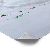 Canadian Whitetail Buck Poster (Hoek)