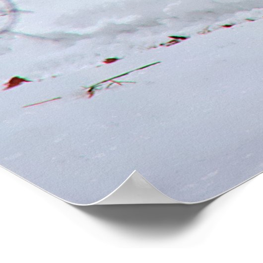 Canadian Whitetail Buck Poster (Hoek)