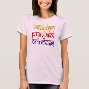 canadische punjabi prinses grappig indiaans desi - t-shirt
