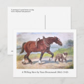 Canal barge paard en hond briefkaart (Voorkant / Achterkant)