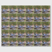 CANAL BOATS CADEAUPAPIER (Vlak)