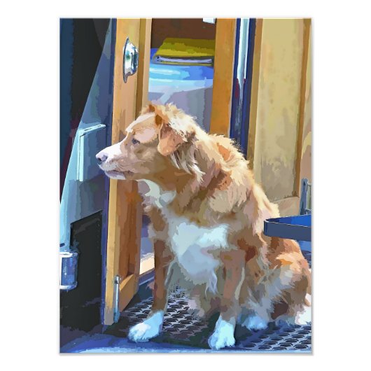 CANAL BOATS FOTO AFDRUK (Voorkant)