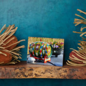 CANAL BOATS FOTOPLAAT (Zijkant)