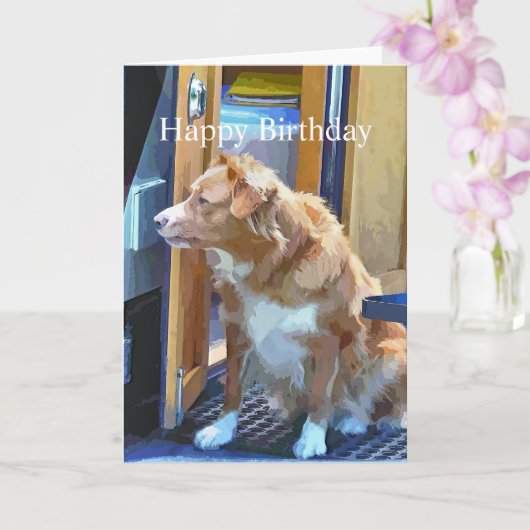 CANAL BOATS KAART (Orchidee)