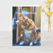 CANAL BOATS KAART (Gele Bloem)