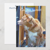 CANAL BOATS KAART (Voorkant / Achterkant)