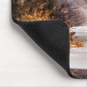 CANAL BOATS MUISMAT (Hoek)