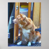 CANAL BOATS POSTER (Voorkant)