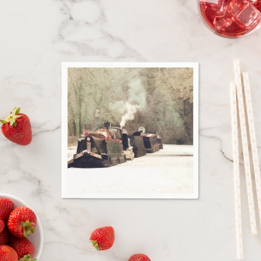 CANAL BOATS SERVETTEN (Insitu)