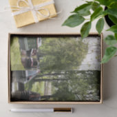 CANAL BOATS TISSUEPAPIER (Geschenk)