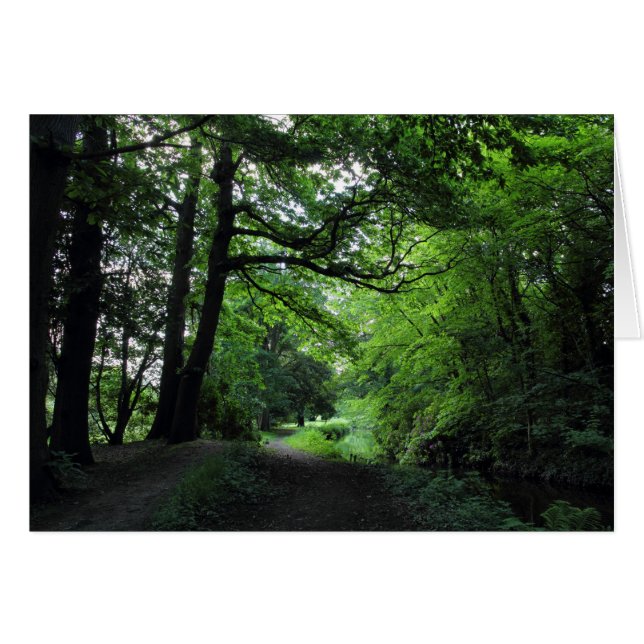 Canal, Bute Park, Cardiff, Wales (Voorkant Horizontaal)