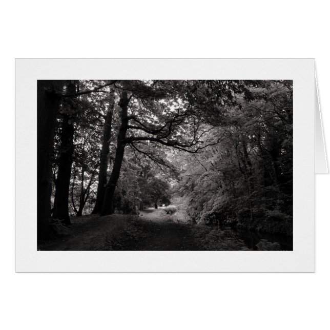 Canal, Bute Park, Cardiff, Wales (Bordered) (Voorkant Horizontaal)