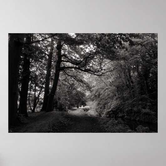 Canal, Bute Park, Cardiff, Wales Poster (Voorkant)