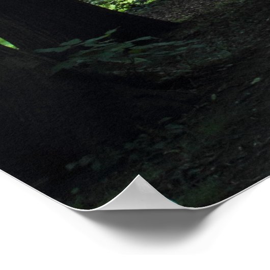 Canal, Bute Park, Cardiff, Wales Poster (Hoek)