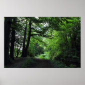 Canal, Bute Park, Cardiff, Wales Poster (Voorkant)