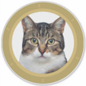 Canal Narrowboat Kat Porthole Decal Sticker (Voorkant)
