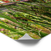 CANAL NARROWBOATS POSTER (Hoek)