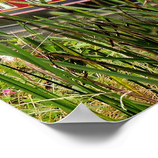 CANAL NARROWBOATS POSTER (Hoek)