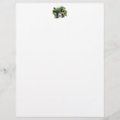 CANALS ADVIESKaarten (Voorkant)