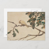 Canarische boomtak briefkaart (Voorkant / Achterkant)