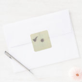 Canarische Eilanden Vierkante Sticker (Envelop)