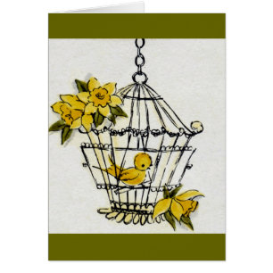 Canarische en Dafodillen