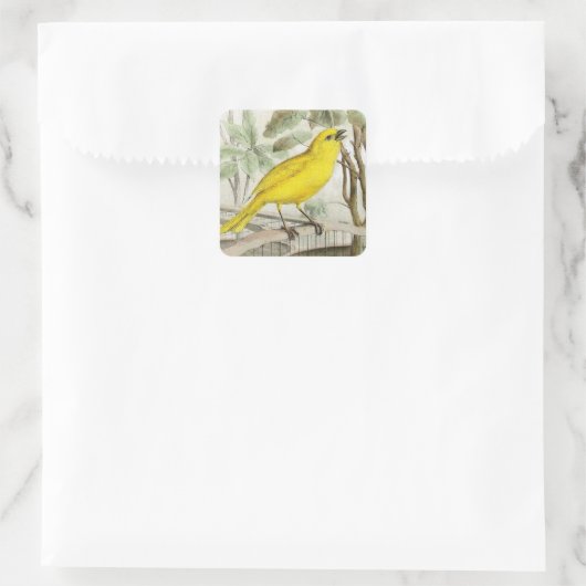 Canarische  illustratie vierkante sticker (Tas)