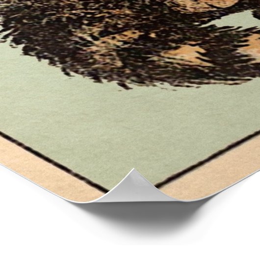  Canarische kat Poster (Hoek)