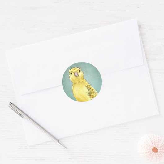 Canarische Stickers (Envelop)