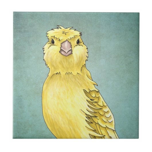 Canarische Tegeltje (Voorkant)