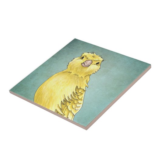 Canarische Tegeltje (Zijkant)