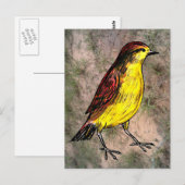 Canary Bird Briefkaart (Voorkant / Achterkant)