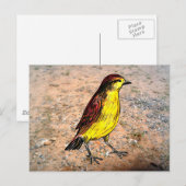 Canary Bird Briefkaart (Voorkant / Achterkant)