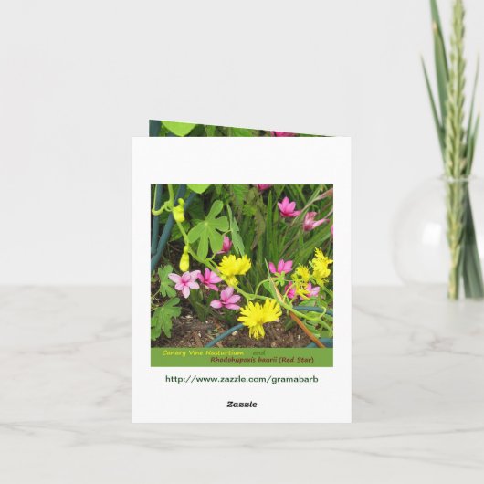 Canary & RedStar Note Kaart (Achterkant)