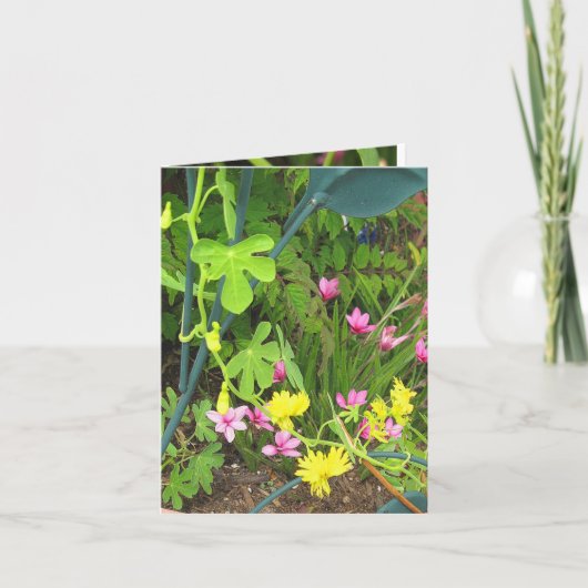 Canary & RedStar Note Kaart (Voorkant)