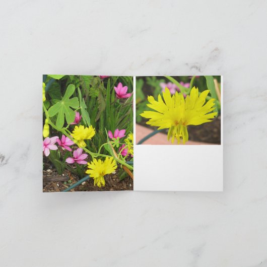 Canary & RedStar Note Kaart (Binnen)