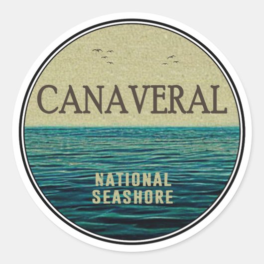 Canaveral National Seashore Florida Ocean Birds Ronde Sticker (Voorkant)