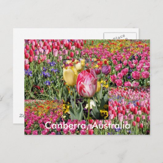 Canberra Australia briefkaart (Voorkant / Achterkant)