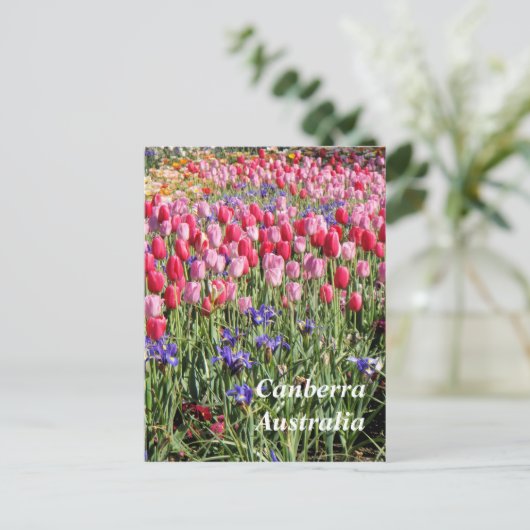 Canberra Australia briefkaart (Staand voorkant)