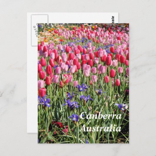 Canberra Australia briefkaart (Voorkant / Achterkant)