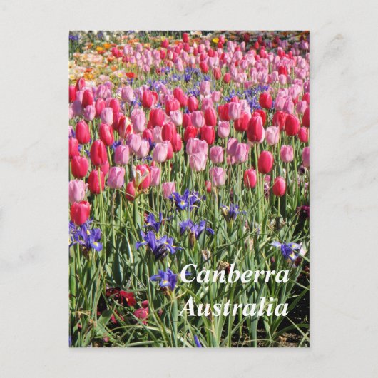Canberra Australia briefkaart (Voorkant)