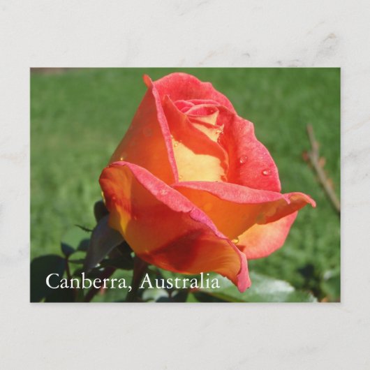 Canberra, Australië briefkaart (Voorkant)