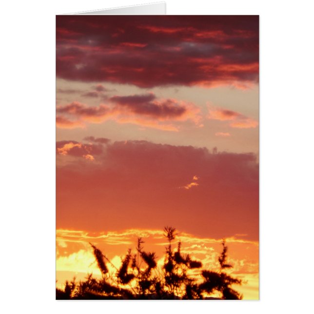 Canberra, Australië zonsondergang. (Voorkant)